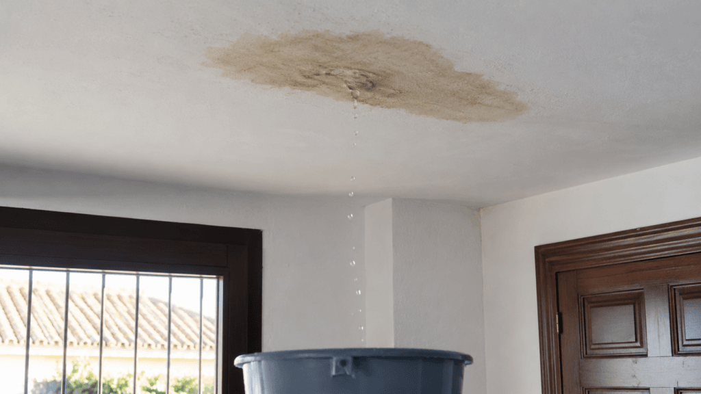 arreglar goteras en techo y tejados madrid